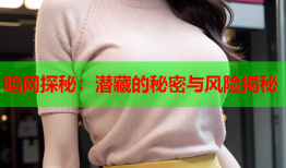 暗网探秘：潜藏的秘密与风险揭秘