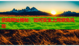 禁网网址揭秘：如何安全上网避免风险