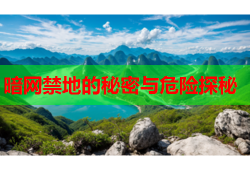 暗网禁地的秘密与危险探秘