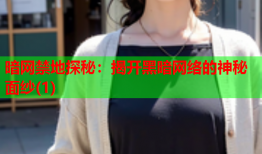 暗网禁地探秘：揭开黑暗网络的神秘面纱(1)