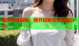 暗网禁地探秘：揭开隐秘世界的面纱(3)