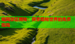 暗网禁区揭秘：探索隐秘世界的免费指南