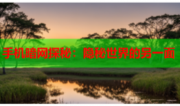 手机暗网探秘：隐秘世界的另一面