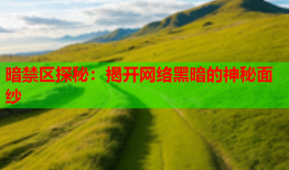 暗禁区探秘：揭开网络黑暗的神秘面纱