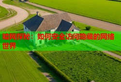暗网探秘：如何安全访问隐藏的网络世界