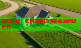 暗网探秘：如何安全访问隐藏的网络世界
