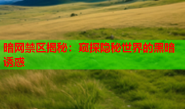 暗网禁区揭秘：窥探隐秘世界的黑暗诱惑