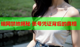 暗网禁地揭秘 账号凭证背后的真相