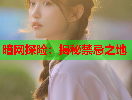 暗网探险：揭秘禁忌之地