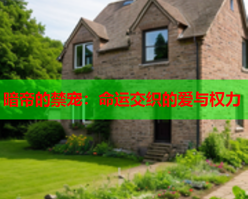 暗帝的禁宠：命运交织的爱与权力