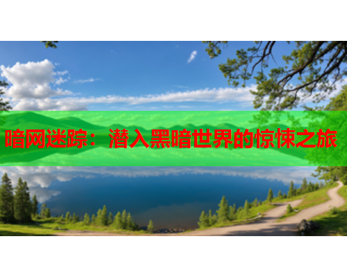 暗网迷踪：潜入黑暗世界的惊悚之旅