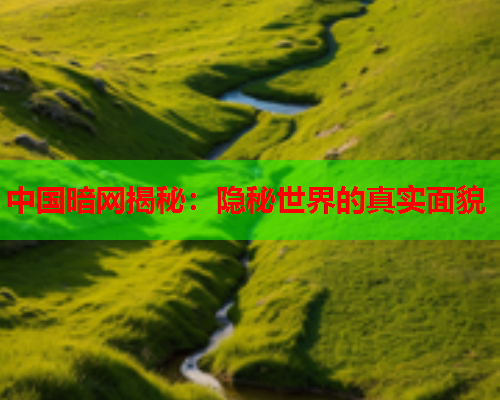 中国暗网揭秘：隐秘世界的真实面貌