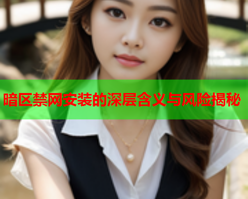 暗区禁网安装的深层含义与风险揭秘