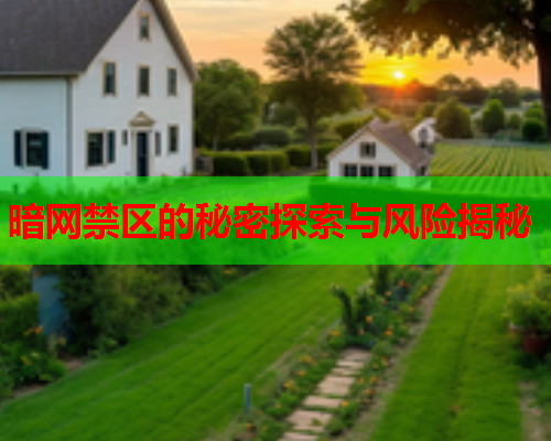 暗网禁区的秘密探索与风险揭秘