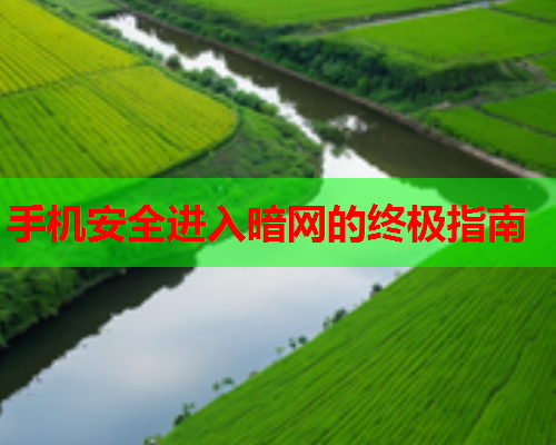 手机安全进入暗网的终极指南