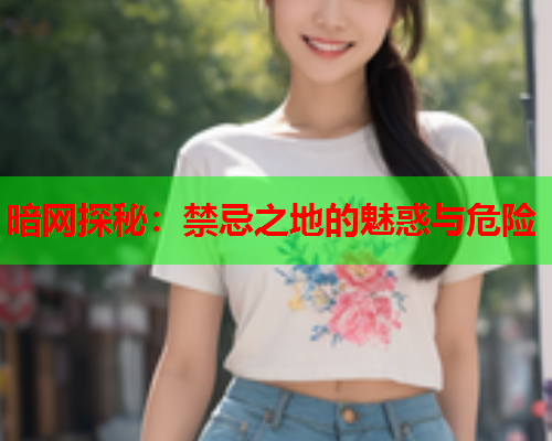暗网探秘：禁忌之地的魅惑与危险