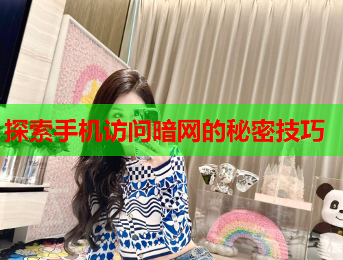 探索手机访问暗网的秘密技巧