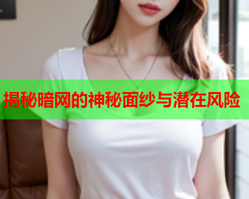 揭秘暗网的神秘面纱与潜在风险