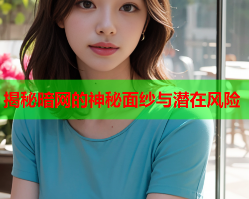 揭秘暗网的神秘面纱与潜在风险