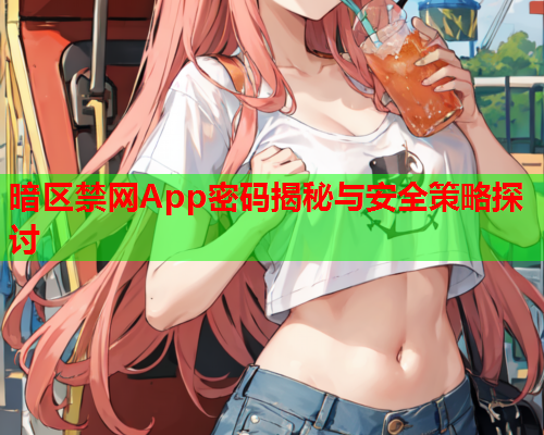 暗区禁网App密码揭秘与安全策略探讨