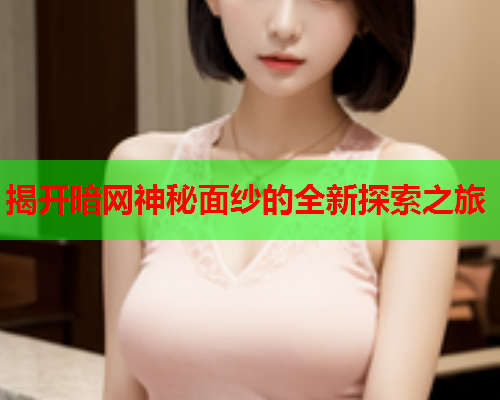 揭开暗网神秘面纱的全新探索之旅