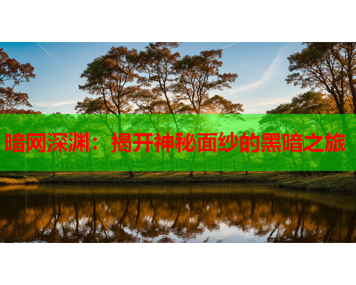 暗网深渊：揭开神秘面纱的黑暗之旅