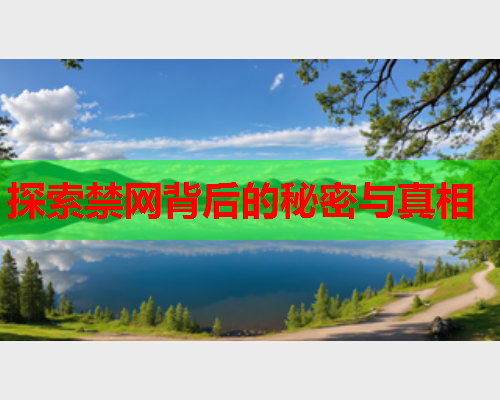 探索禁网背后的秘密与真相