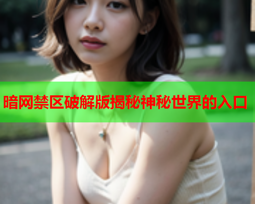 暗网禁区破解版揭秘神秘世界的入口