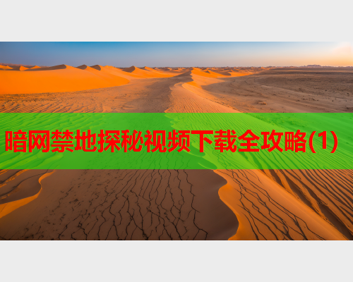 暗网禁地探秘视频下载全攻略(1)