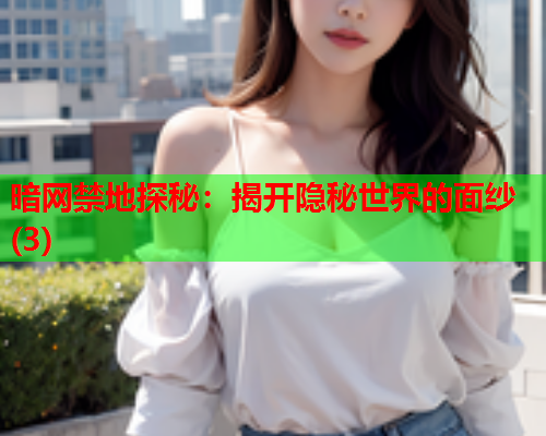 暗网禁地探秘：揭开隐秘世界的面纱(3)