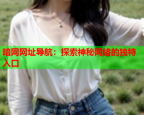 暗网网址导航：探索神秘网络的独特入口