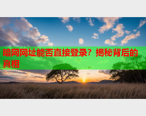 暗网网址能否直接登录？揭秘背后的真相