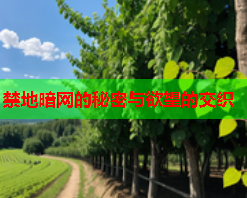 禁地暗网的秘密与欲望的交织