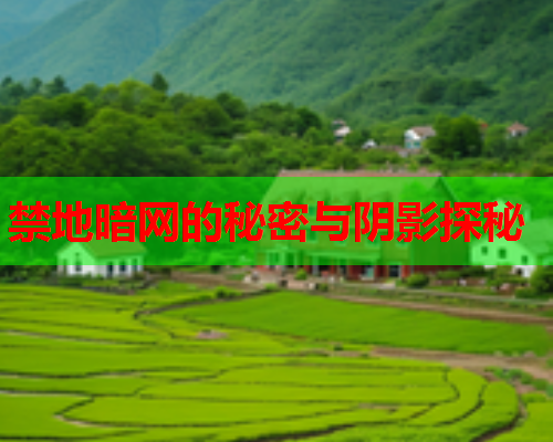 禁地暗网的秘密与阴影探秘