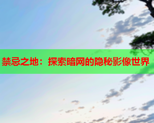 禁忌之地：探索暗网的隐秘影像世界