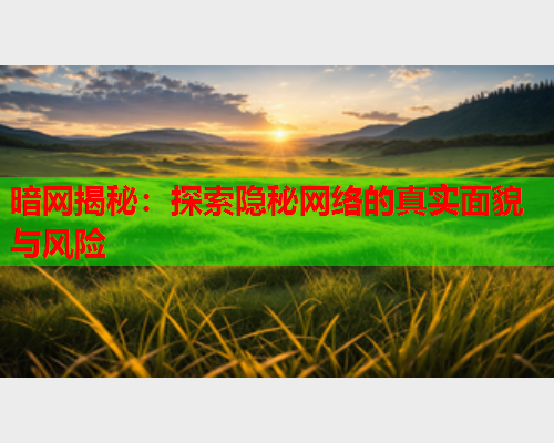 暗网揭秘：探索隐秘网络的真实面貌与风险