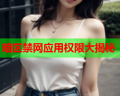 暗区禁网应用权限大揭秘