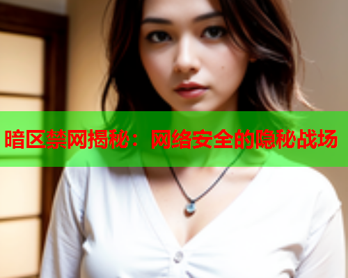 暗区禁网揭秘：网络安全的隐秘战场