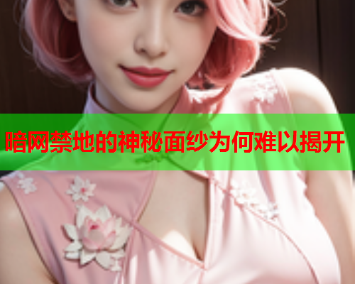 暗网禁地的神秘面纱为何难以揭开