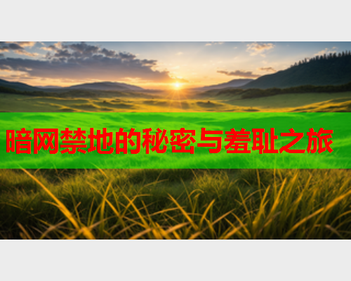 暗网禁地的秘密与羞耻之旅