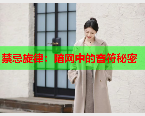禁忌旋律：暗网中的音符秘密
