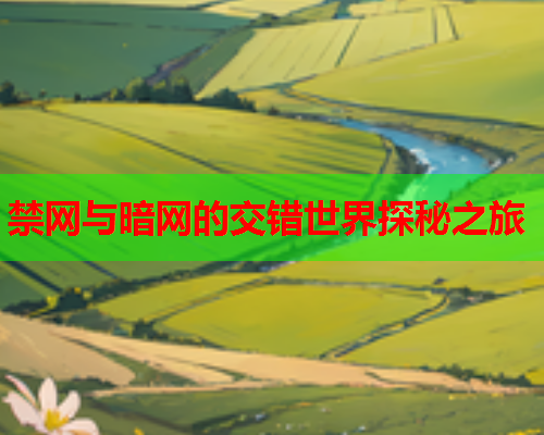 禁网与暗网的交错世界探秘之旅