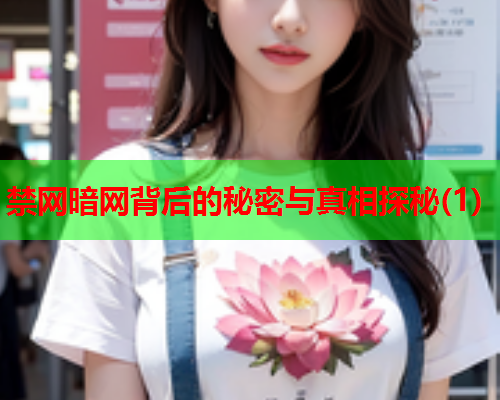 禁网暗网背后的秘密与真相探秘(1)