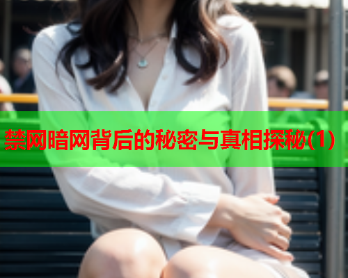 禁网暗网背后的秘密与真相探秘(1)