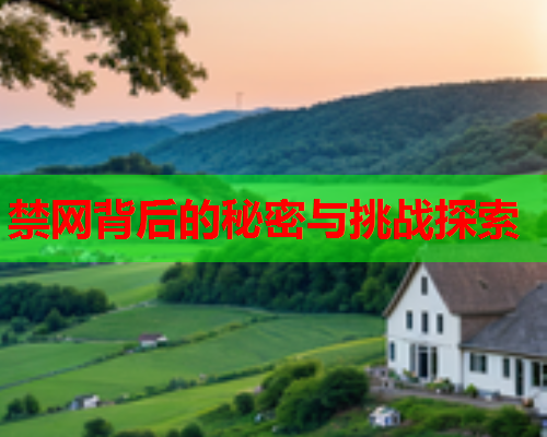 禁网背后的秘密与挑战探索