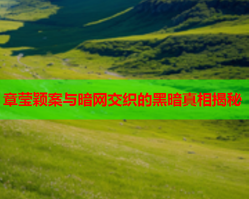 章莹颖案与暗网交织的黑暗真相揭秘