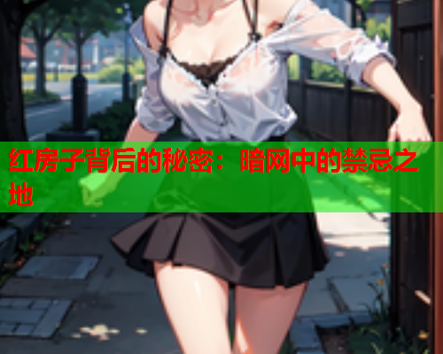 红房子背后的秘密：暗网中的禁忌之地