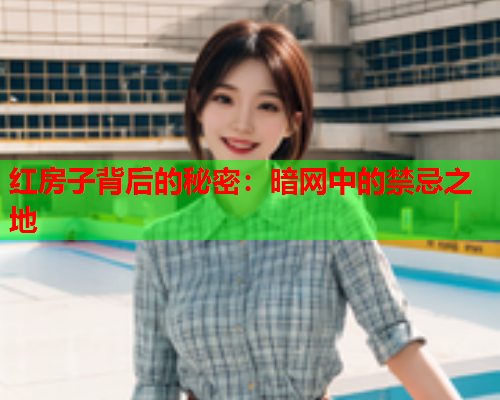 红房子背后的秘密：暗网中的禁忌之地