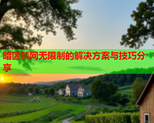 暗区禁网无限制的解决方案与技巧分享