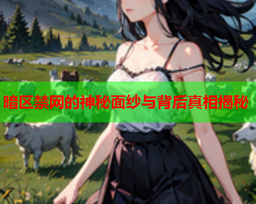 暗区禁网的神秘面纱与背后真相揭秘
